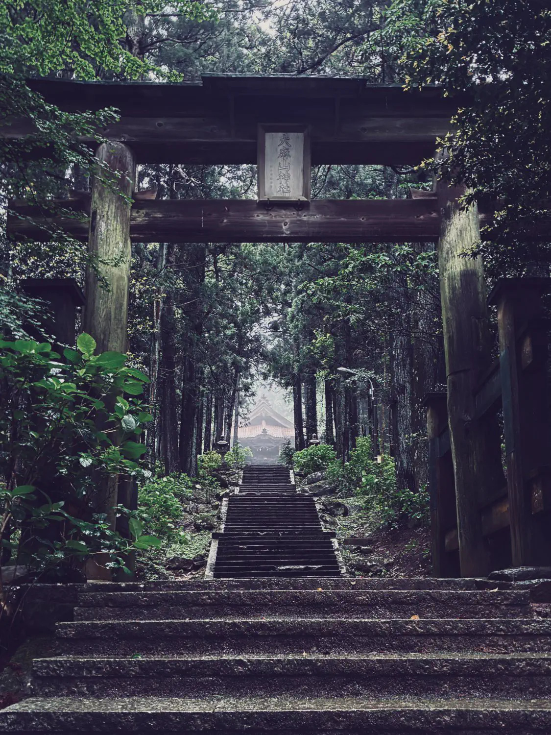 大麻山神社，鸟居下石阶通往雾中社殿
